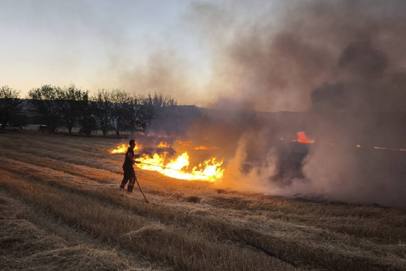 Malatya'da anız yangını korkuttu