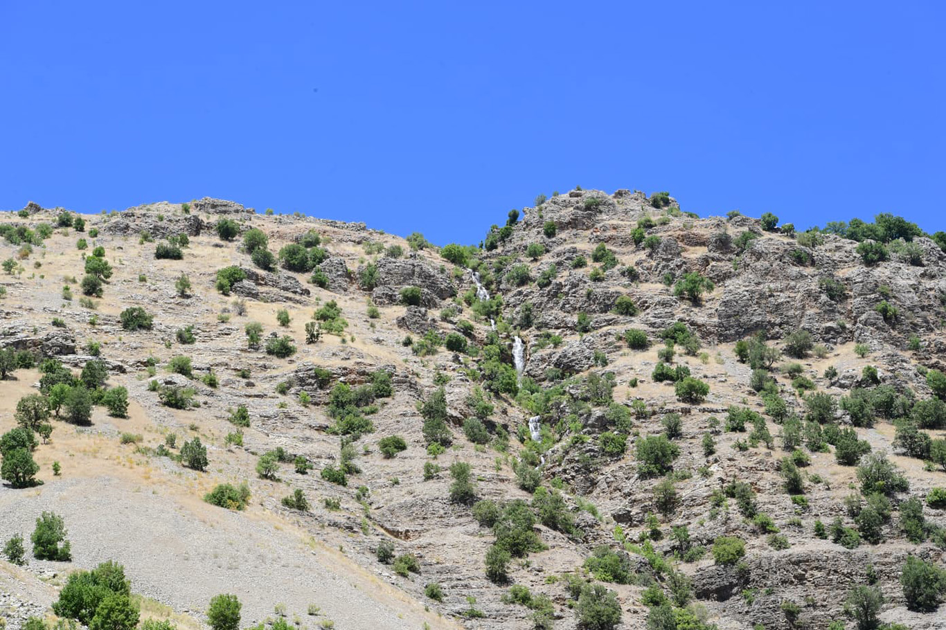 Malatya'da 80 bin dekar araziyi suya kavuşturacak