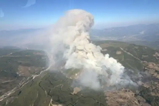 Muğla'da orman yangınına havadan ve karadan müdahale sürüyor