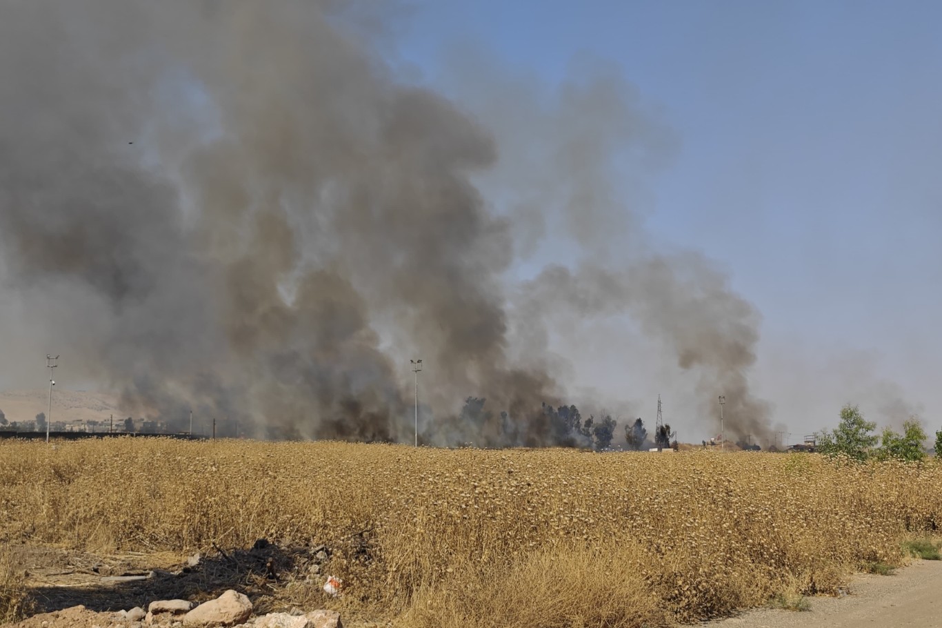 Suriye'de çıkan anız yangını Nusaybin sınırına sıçradı