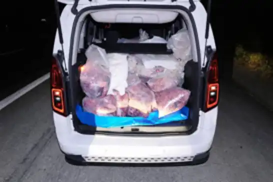 Mersin'de 877 Kilogram sağlıksız sakatat ele geçirildi