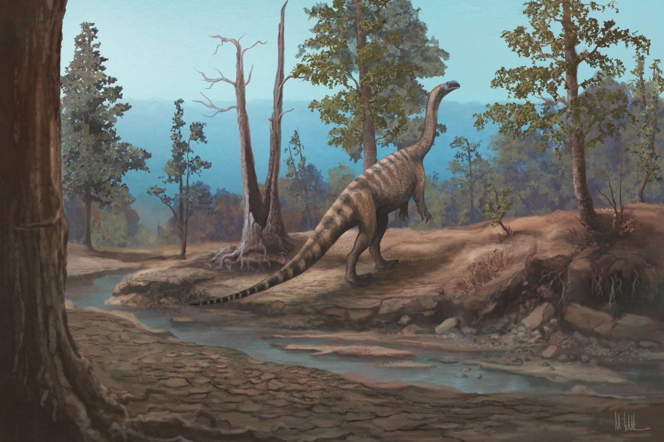 Araştırmacılar Zimbabve'de yeni bir dinozor türü keşfetti