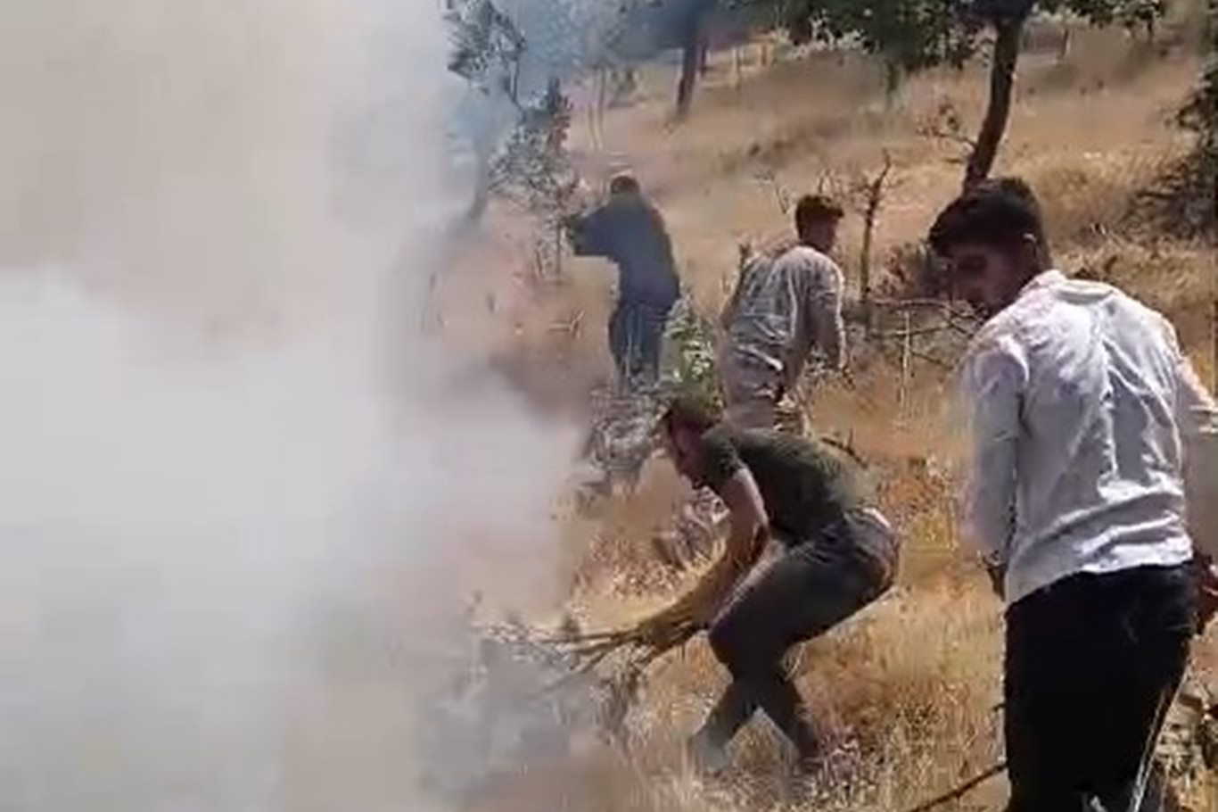 Siirt'te örtü yangını: 60 dönümlük alan zarar gördü