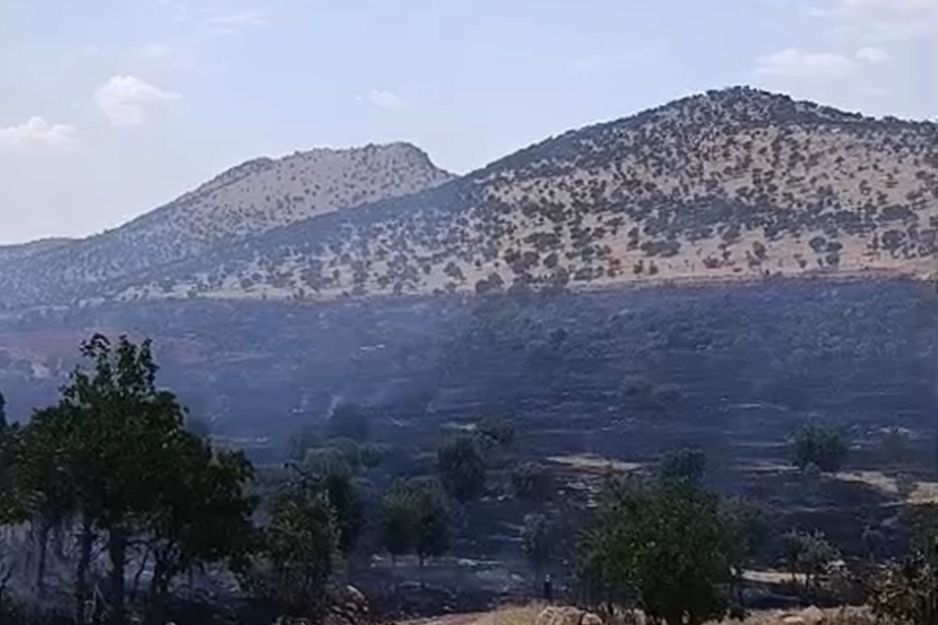 Siirt'te örtü yangını: 60 dönümlük alan zarar gördü