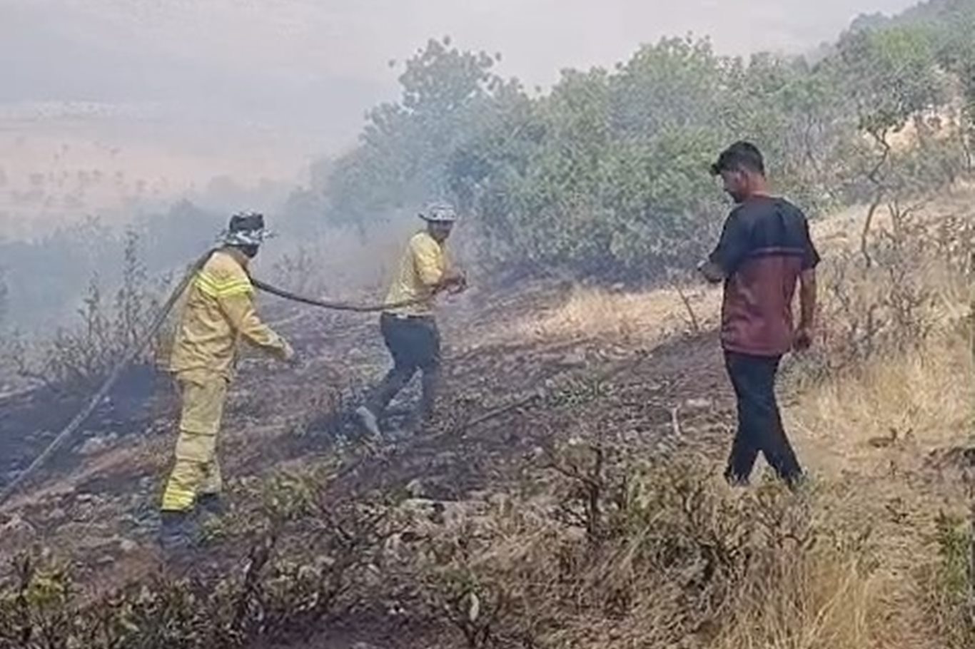Siirt'te örtü yangını: 60 dönümlük alan zarar gördü