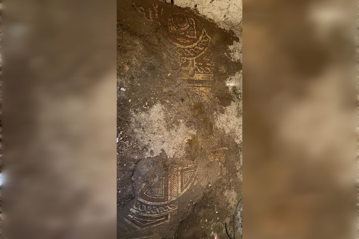 Mardin’de bin 500 yıllık mozaik eser kaçakçılığı operasyonu: 2 şüpheli yakalandı