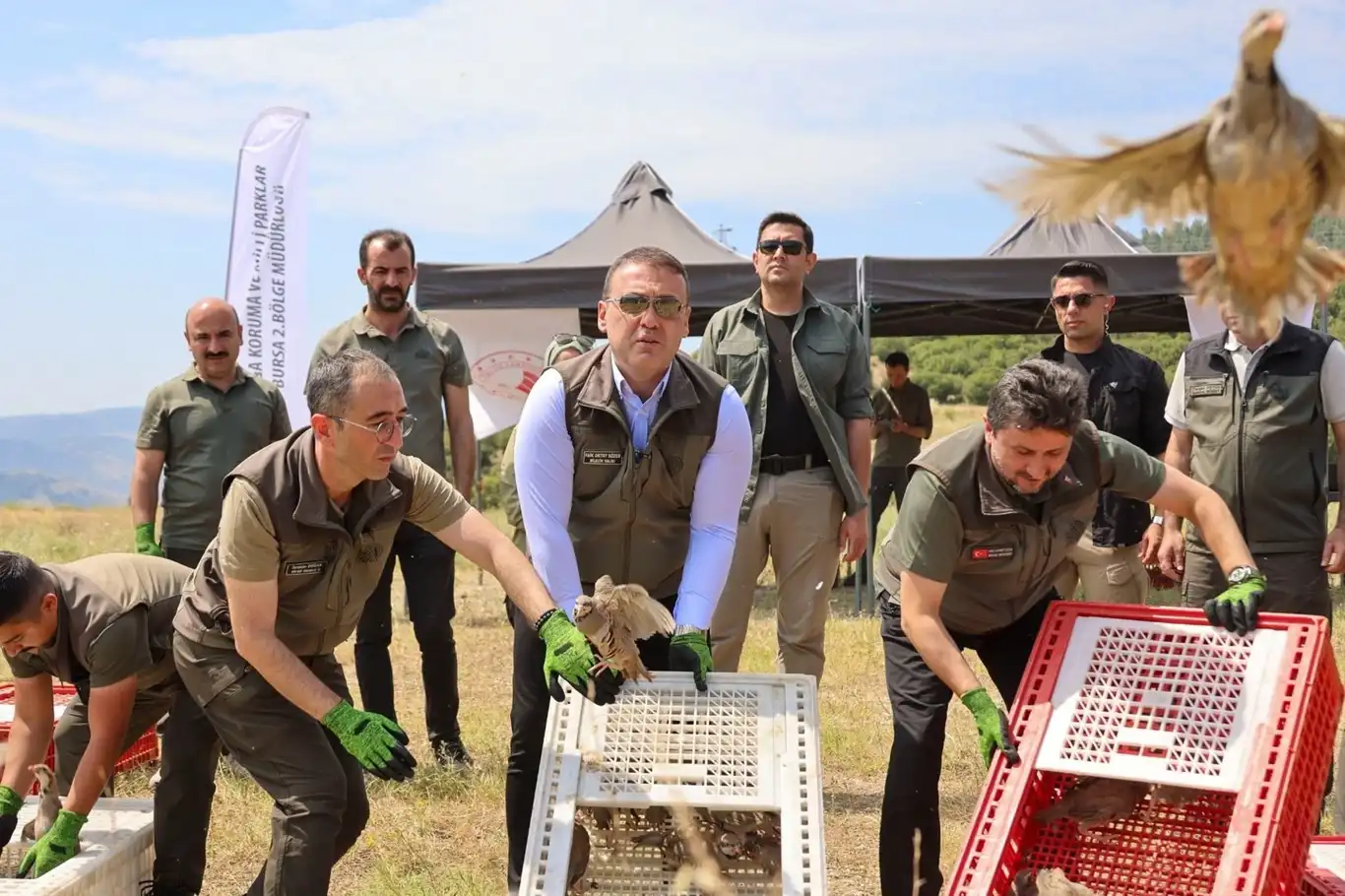 Kene ve kokarcayla mücadele için 300 kınalı keklik doğaya bırakıldı