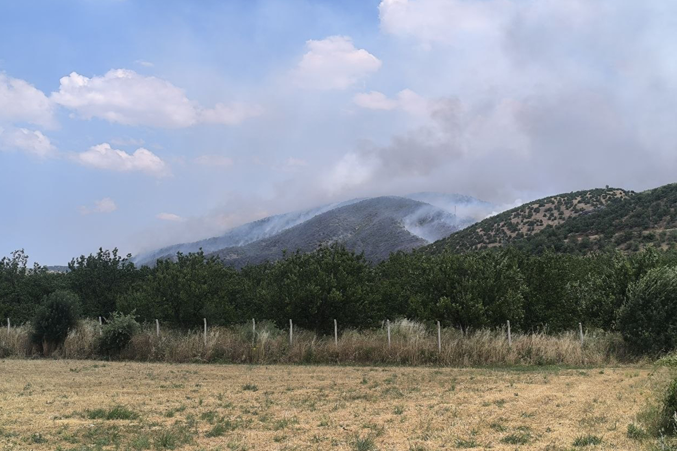 Malatya'da ormanlık alanda çıkan yangına çok sayıda ekip müdahale ediyor 