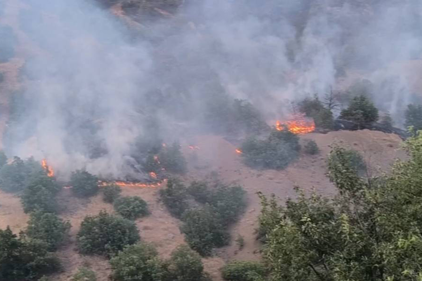 Malatya'da orman yangınını söndürme çalışmaları sürüyor
