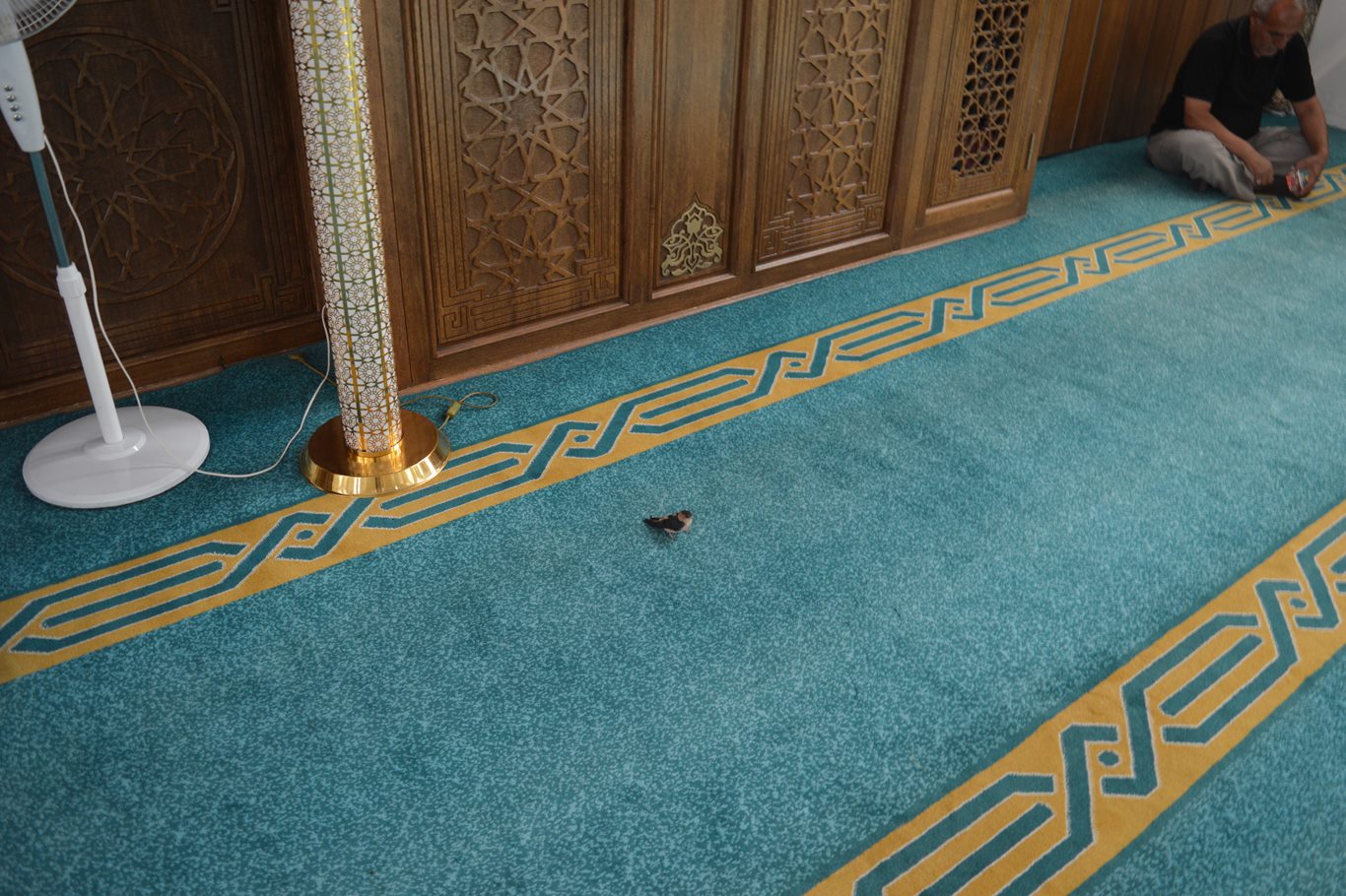 Siirt Belediyesinden Yaz Kur'an Kursu öğrencilerine ziyaret