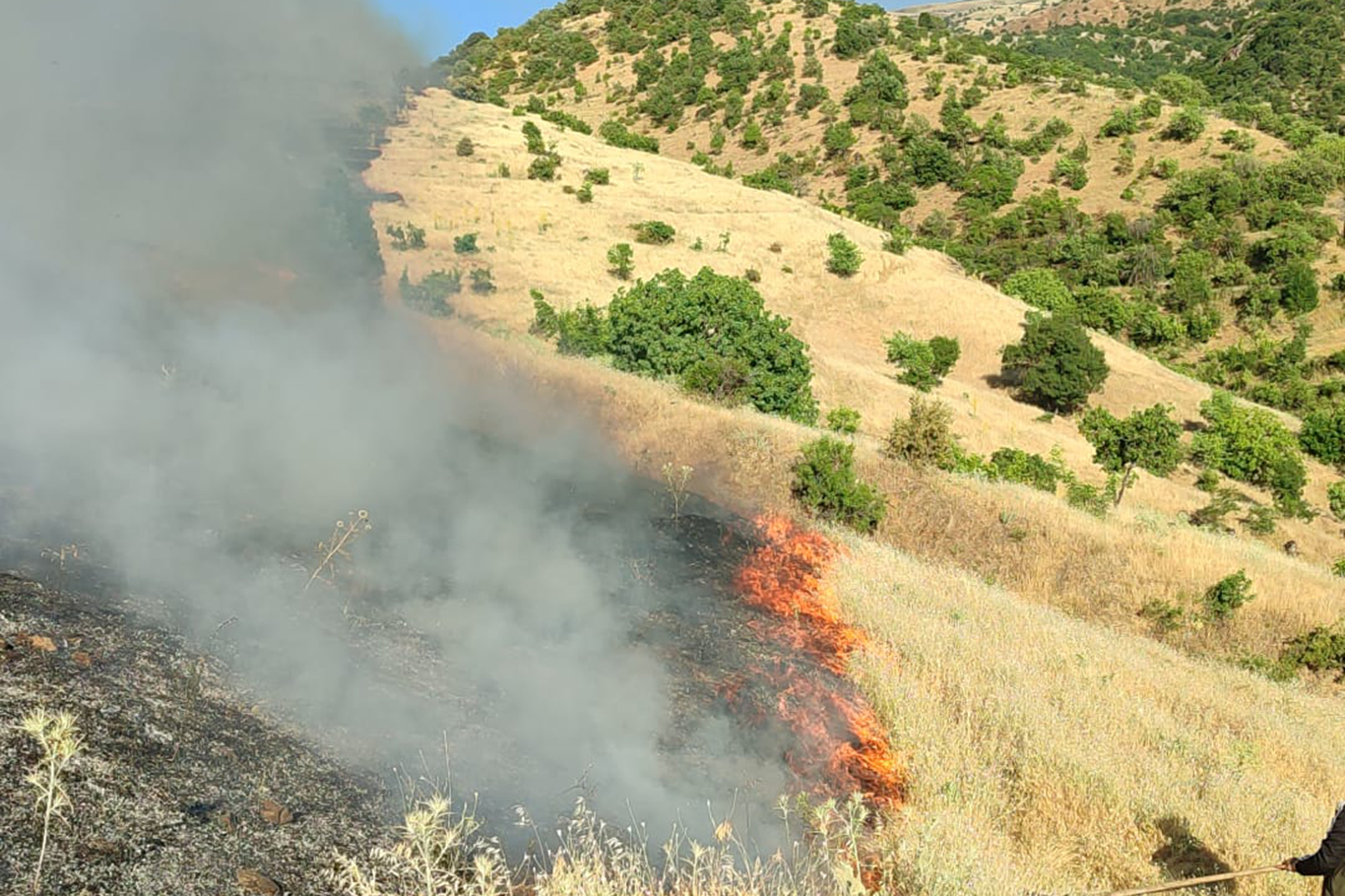 Malatya'da orman yangını: Ekipler alevleri kontrol altına almaya çalışıyor
