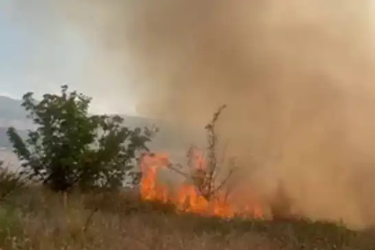 Li Meletîyê agir bi daristanê ket