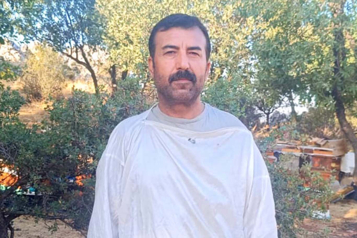 Organik bal hasadı başladı