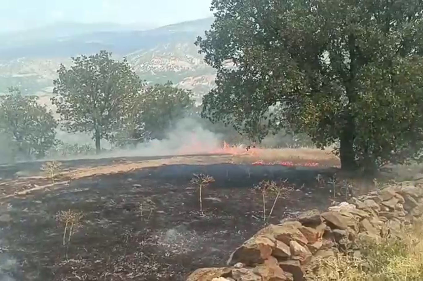 Malatya'daki orman ve örtü yangınını söndürme çalışmalarına davadan da destek veriliyor