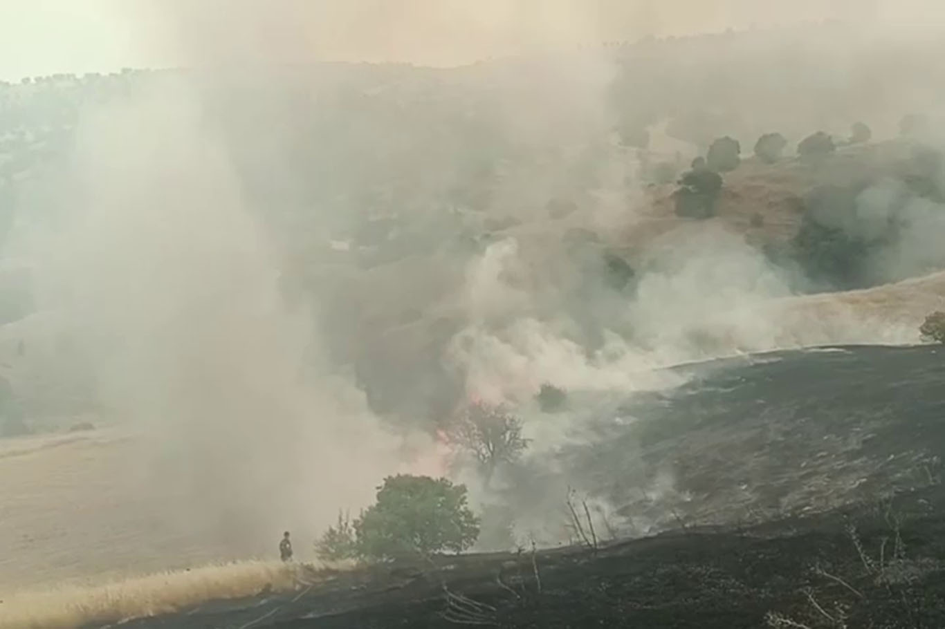 Malatya'daki orman ve örtü yangınını söndürme çalışmalarına davadan da destek veriliyor