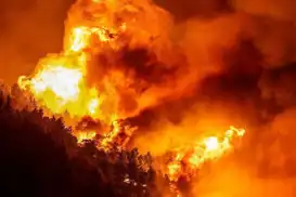 One dead, dozens injured as wildfire sweeps Croatia’s Adriatic coast  