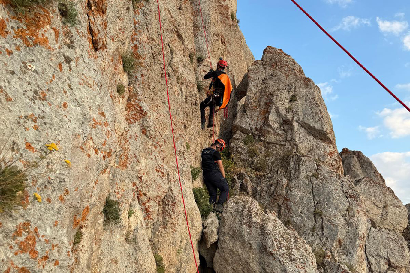 ŞIRNAK'TA DAĞDA MAHSUR KALAN KEÇİLER İÇİN EKİPLER SEFERBER OLDU