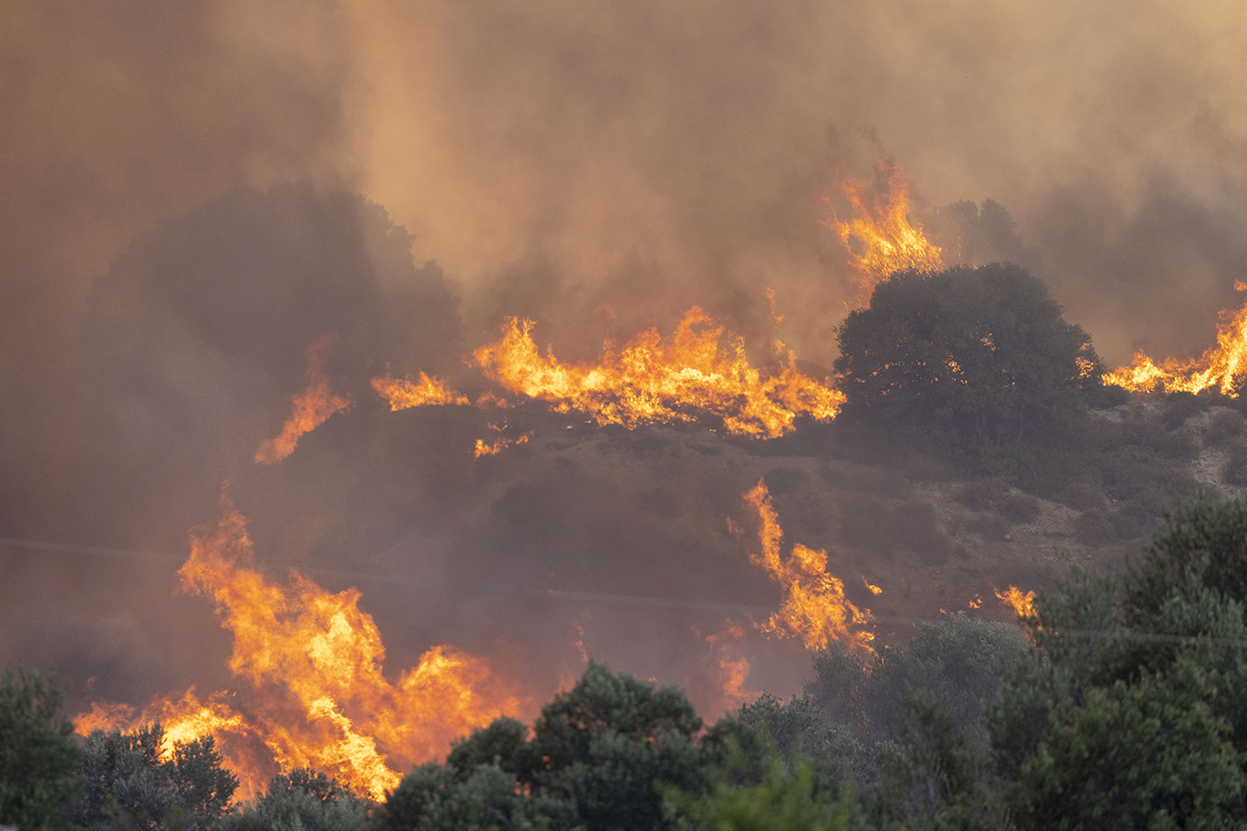 Serbia battles 45 active wildfires as heatwave triggers national emergency