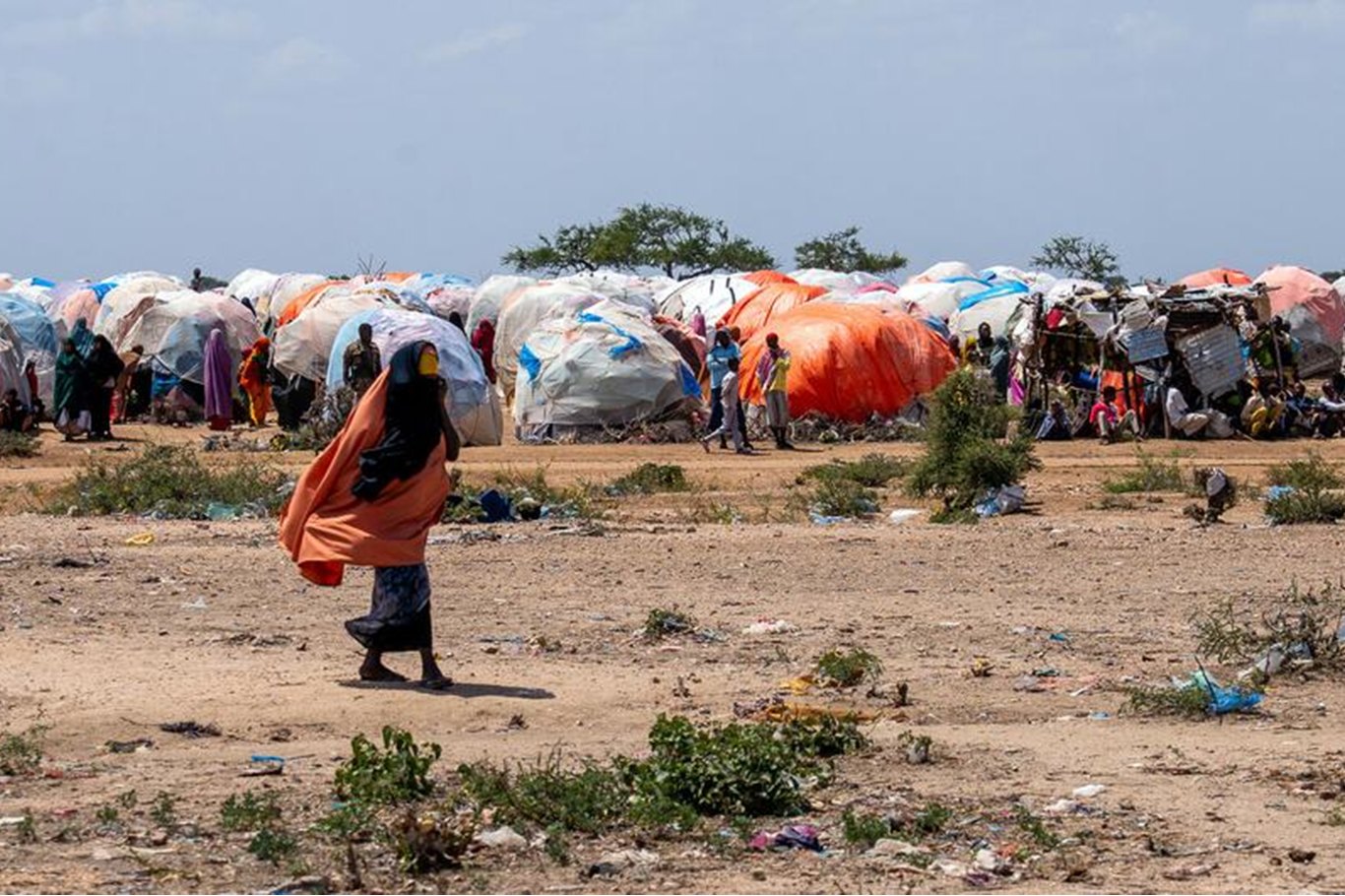 Neteweyên Yekbûyî ragihand ku li Somalîyê kêmasîyeke giran a xwarinê heye