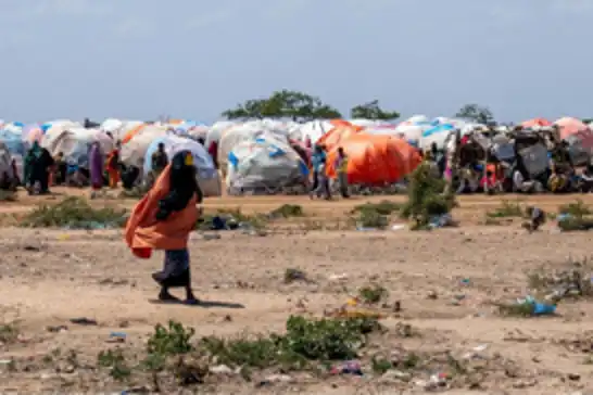Neteweyên Yekbûyî ragihand ku li Somalîyê kêmasîyeke giran a xwarinê heye
