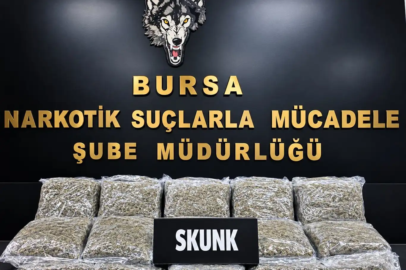 Bursa’da uyuşturucu operasyonu: 45 kilo esrar ele geçirildi