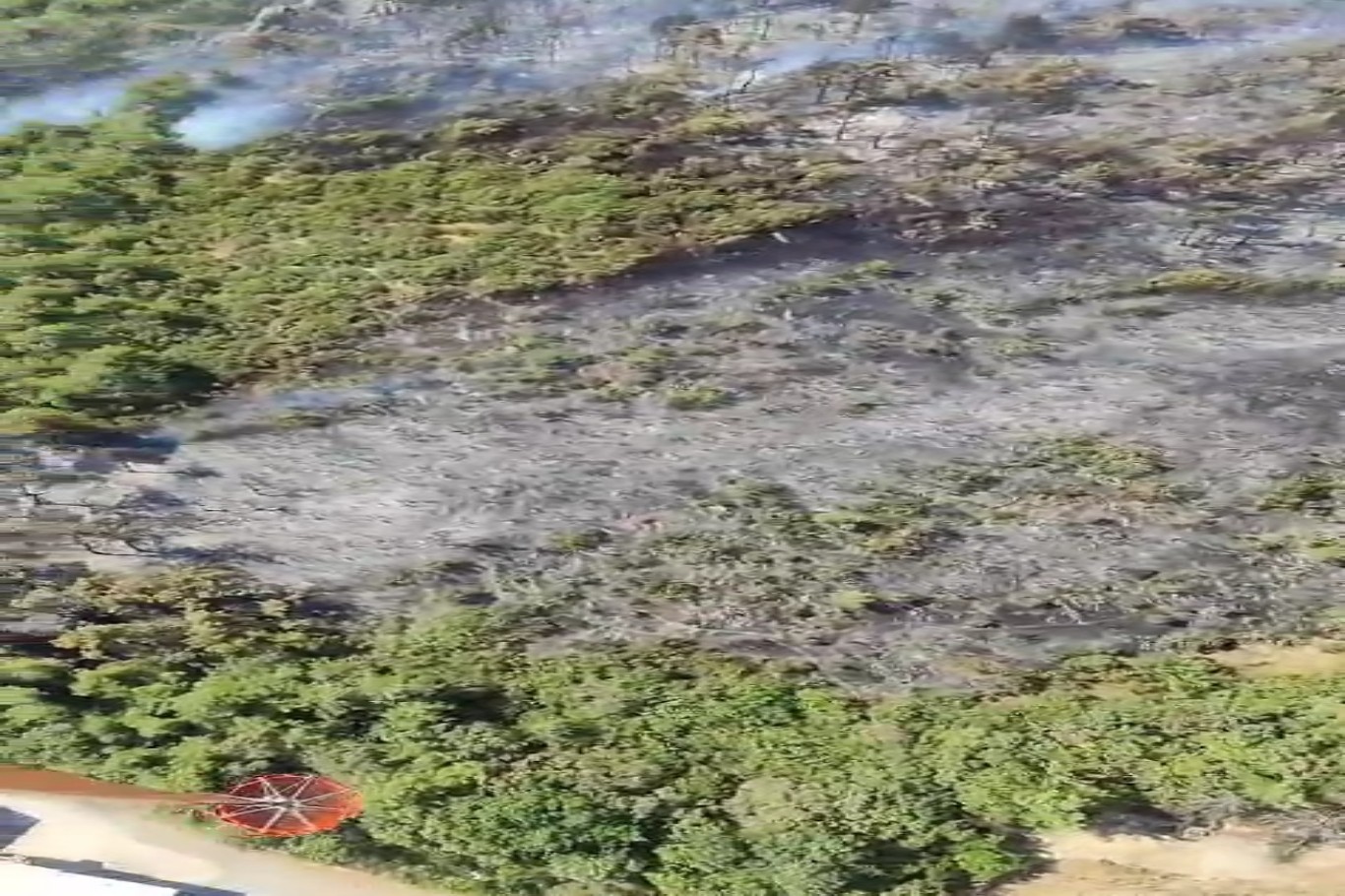 Bursa’da 3 ayrı noktada orman yangını