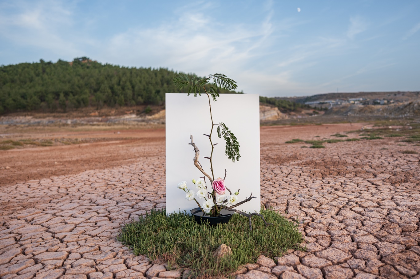 COP31’de üniversite öğrencilerine akademik görev