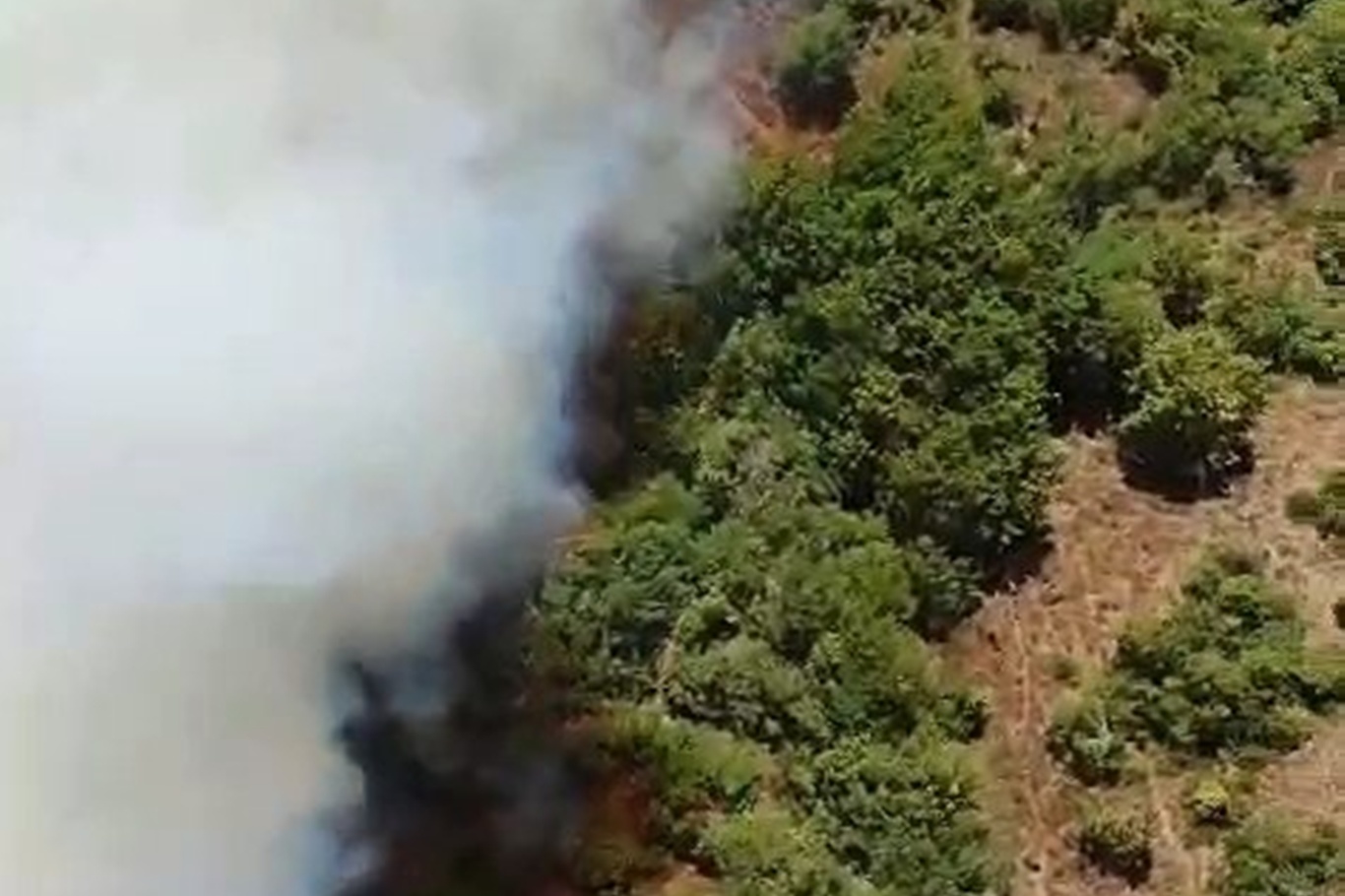 Bursa’da üst üste yangınlar