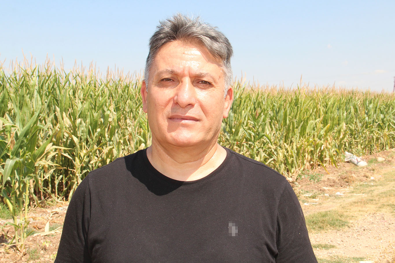 ZMO Başkanı Doğan: Batman'da ayçiçeği projesinde istenilen seviyeye henüz ulaşılamadı