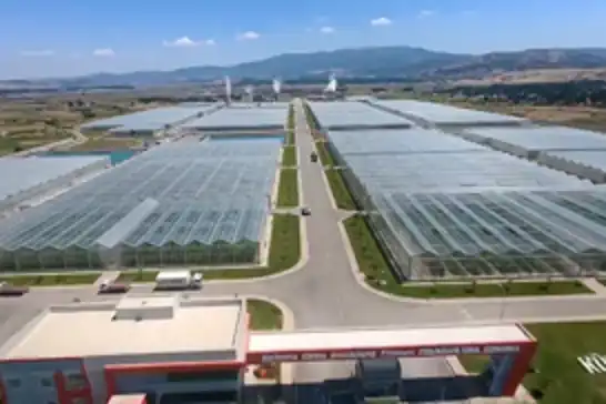 Kütahya’da jeotermal sera bölgesi üretime hazır