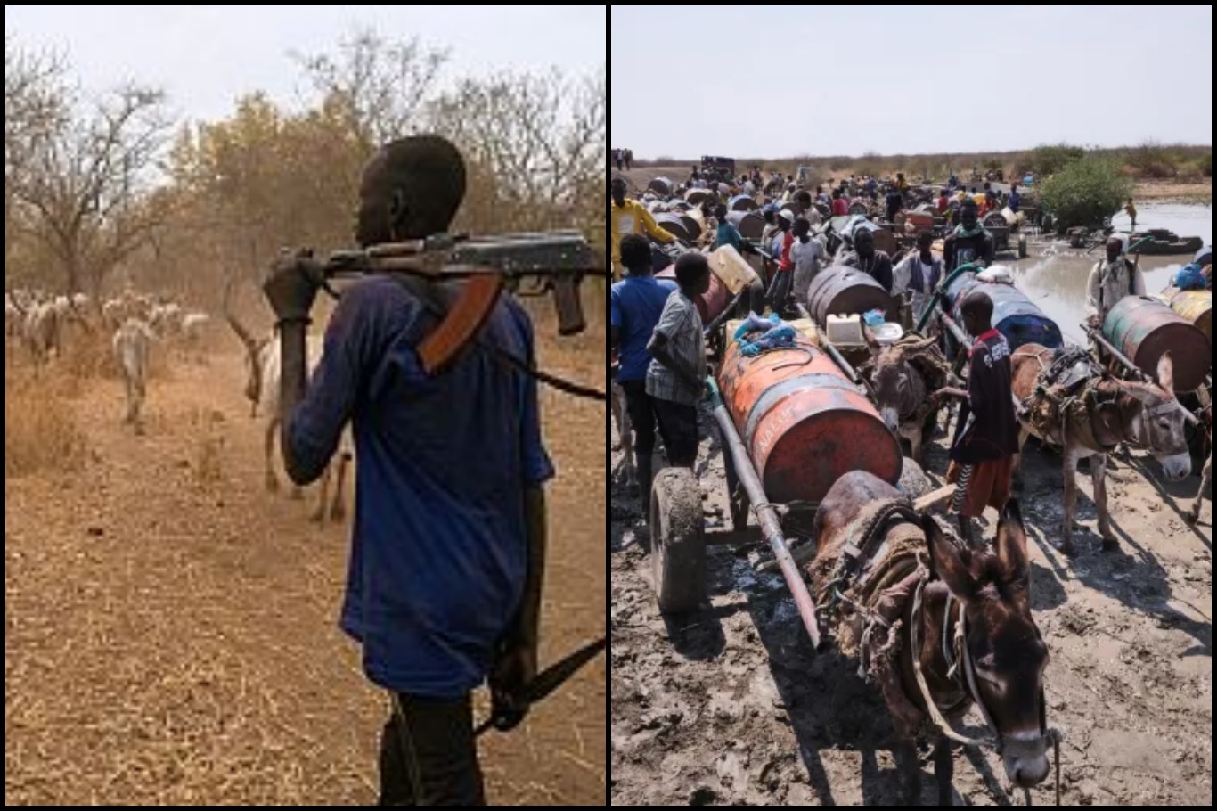 حمله مسلحانه برای سرقت دام در سودان جنوبی: ۴۹ نفر جان خود را از دست دادند