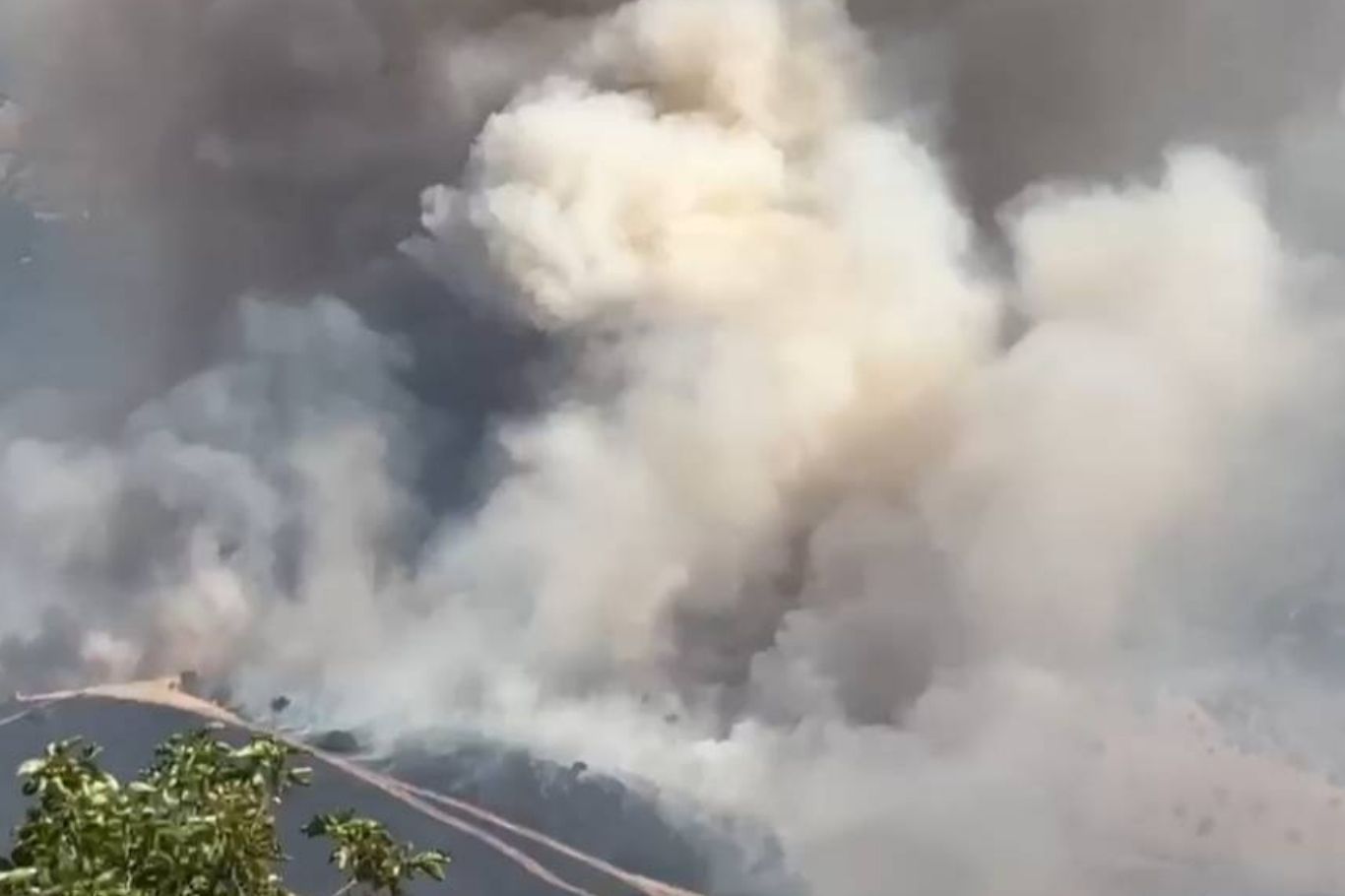 Malatya'da ormanlık alanda çıkan yangına çok sayıda ekiple müdahale ediliyor