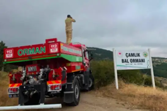 Ormanlık alanlar yangın riskine karşı gözetim altında