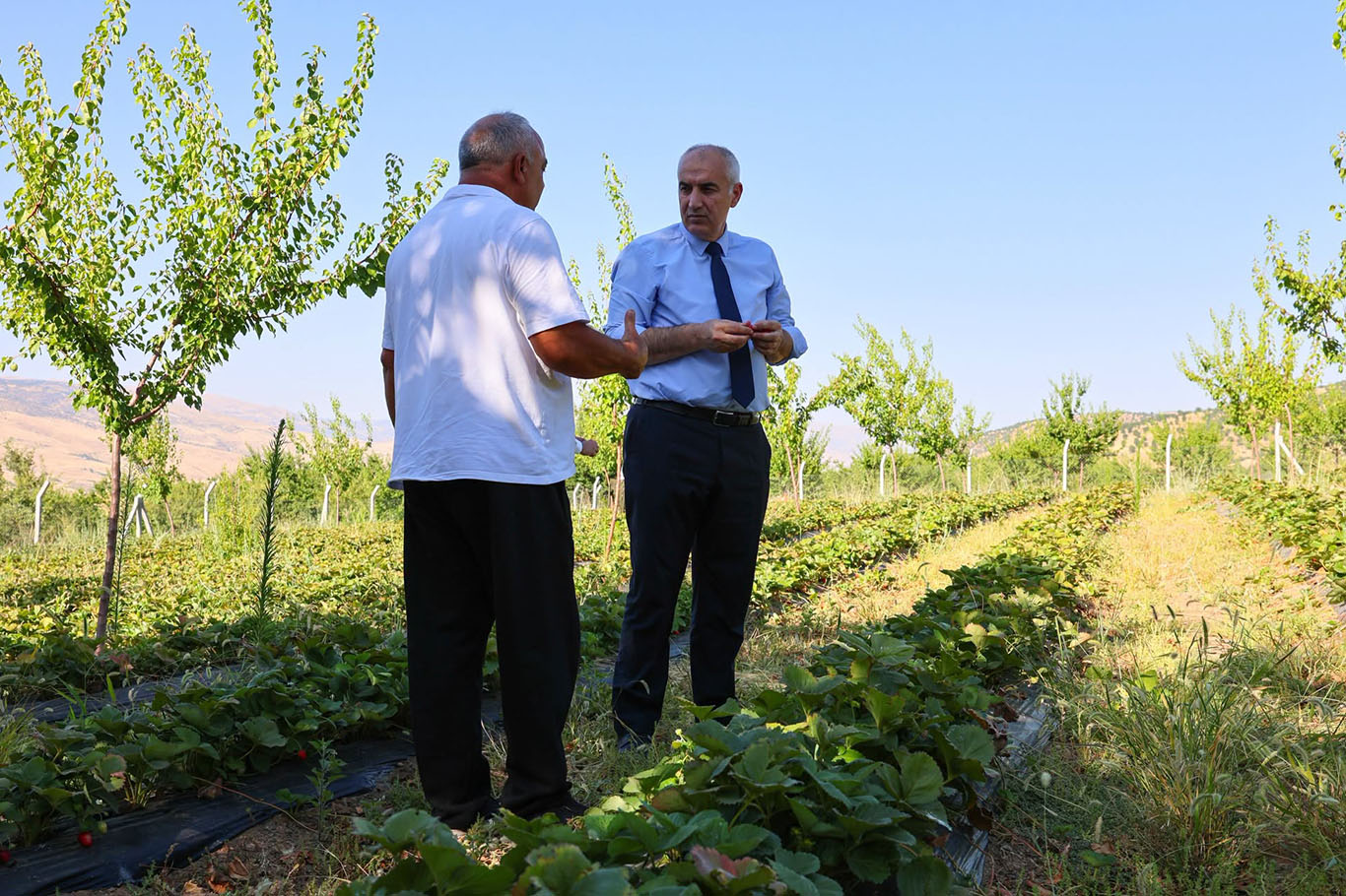 Malatyalı üretici tarımsal üretime farklı ürünlerle katkı sağlıyor