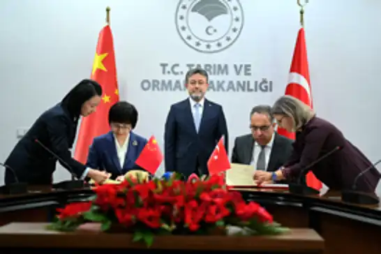 Türkiye’den Çin’e defne yaprağı ihracatının önü açıldı