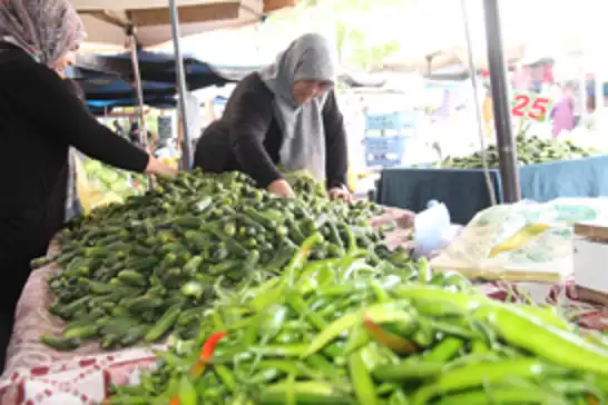 Pazarlarda turşu sezonu hareketliliği