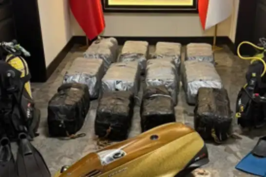 Mersin Limanı'nda 350 kilogram kokain ele geçirildi: 9 gözaltı