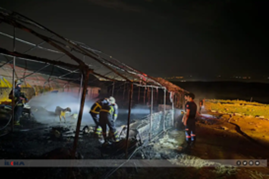 Li Êlihê di şewata ambarê de herî kêm 80 pez û bizin telef bûn