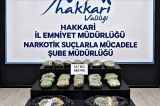 Hakkari'de 10 kilogram skunk ele geçirildi: 9 tutuklama