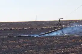 Anız yangını tarımsal üretimi ve enerji arzı riske atılıyor