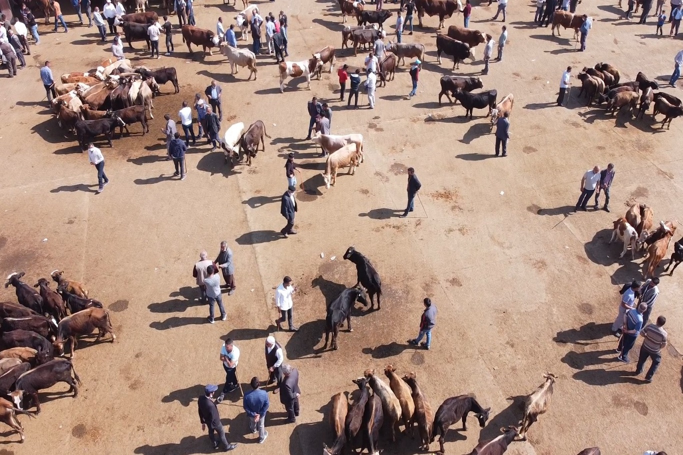 Ağrı'da Şap Hastalığı tedbiri nedeni ile Hayvan Borsası bir aylığına kapatıldı