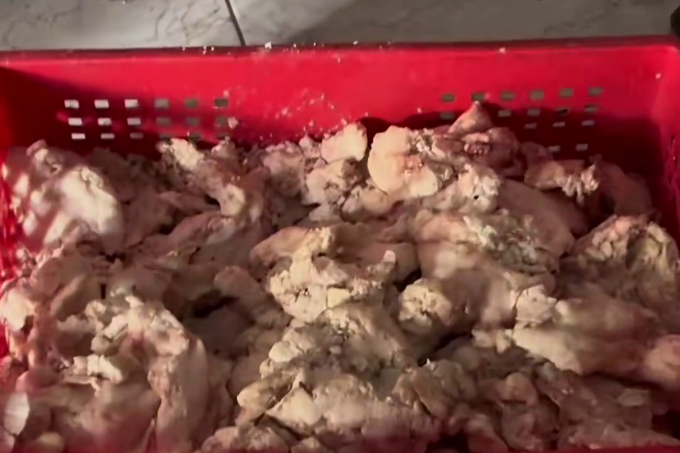 Gaziantep'te merdiven altı ciğer imalathanesinde 500 kilo ürün imha edildi