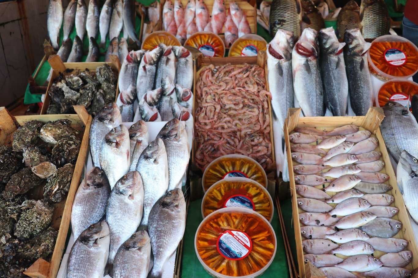 İstanbul'da balık sezonu bereketli başladı