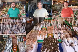 İstanbul'da balık sezonu bereketli başladı