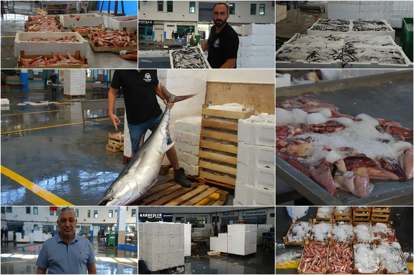 İzmir Balık Hali Dernek Başkanı Çakan: Yeni sezonda beklentimiz çok yüksek