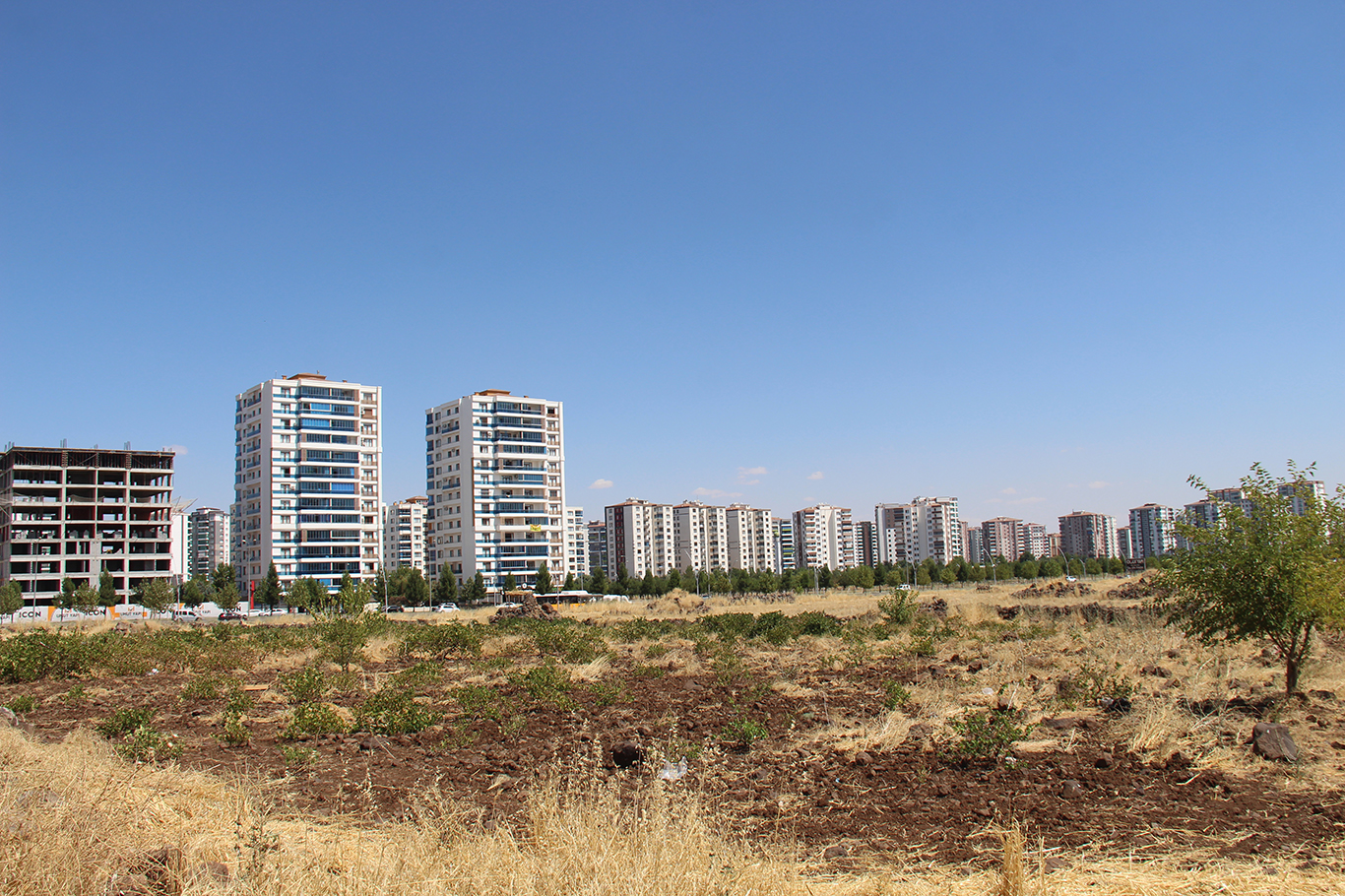 Diyarbakır'da 45 yıllık arazi mücadelesi: Emeğimiz yok sayılarak ihaleye çıkarıldı