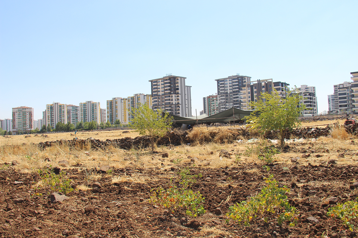 Diyarbakır'da 45 yıllık arazi mücadelesi: Emeğimiz yok sayılarak ihaleye çıkarıldı