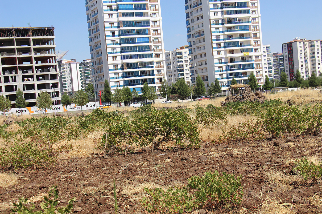 Diyarbakır'da 45 yıllık arazi mücadelesi: Emeğimiz yok sayılarak ihaleye çıkarıldı