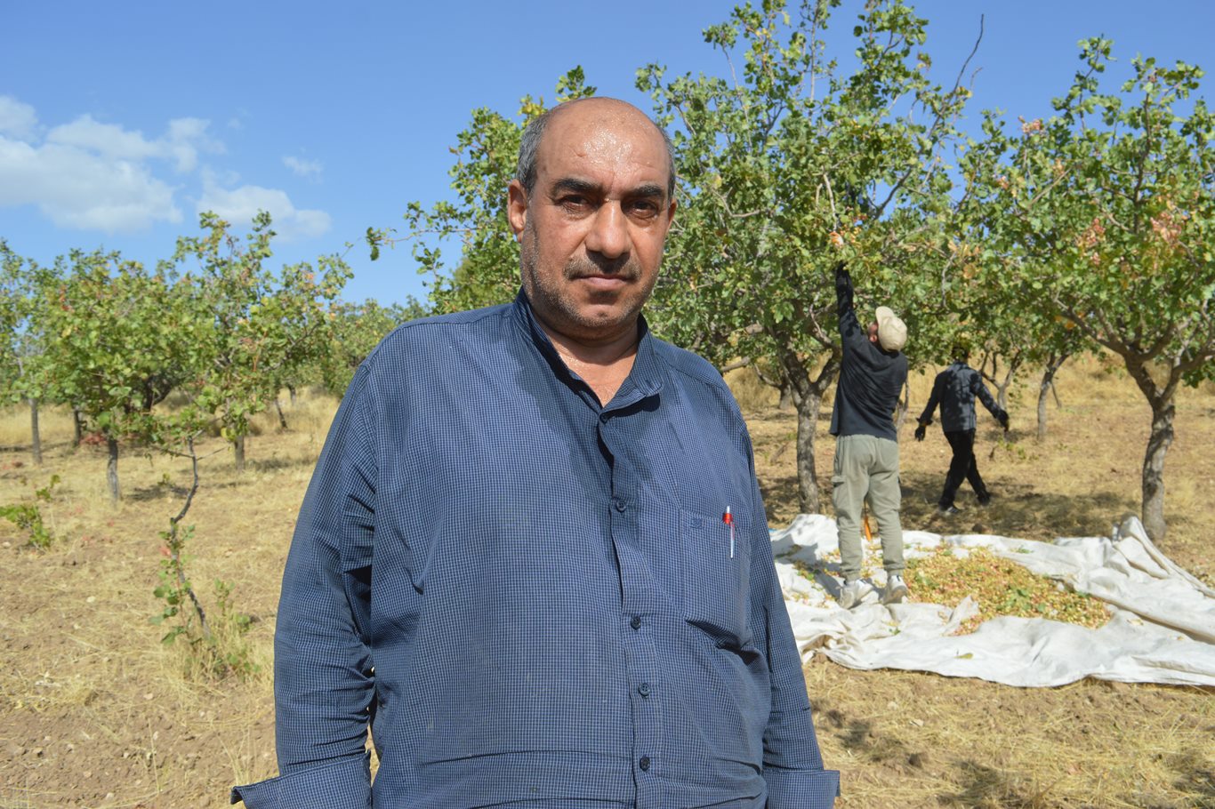 Hayrettin Dağtekin