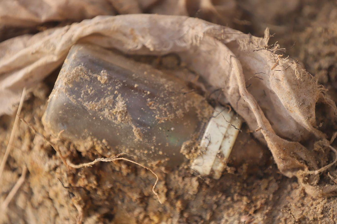 Remains of 572 people unearthed in Sri Lanka mass grave